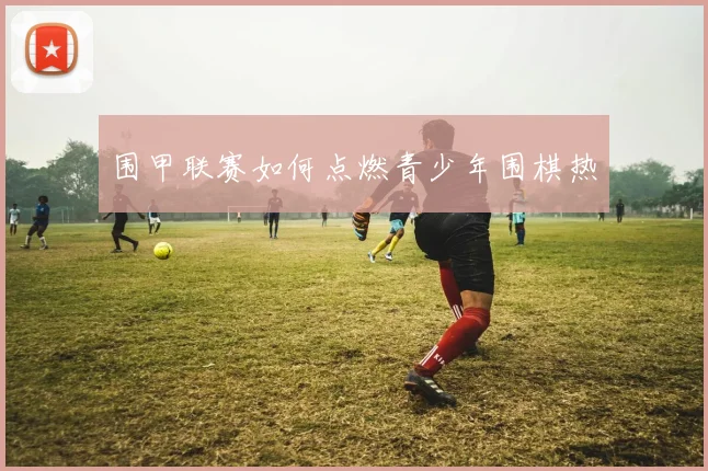 围甲联赛如何点燃青少年围棋热