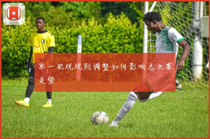 单一犯规规则调整如何影响总决赛走势