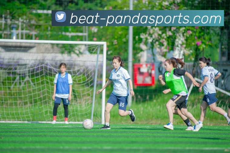 多媒体互动体验