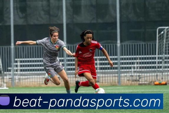 熊猫体育APP 体育赛事宣传图